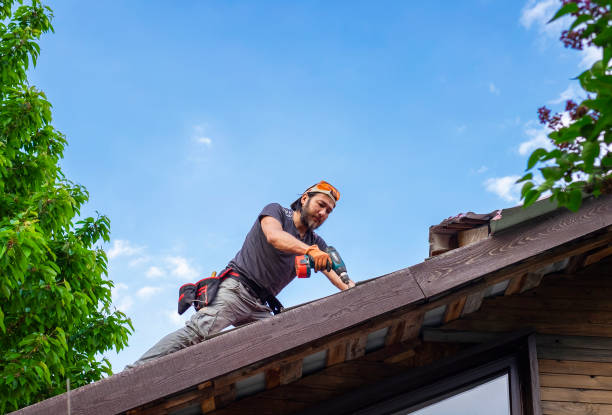 Best Wood Shake Roofing  in Downers Grove, IL